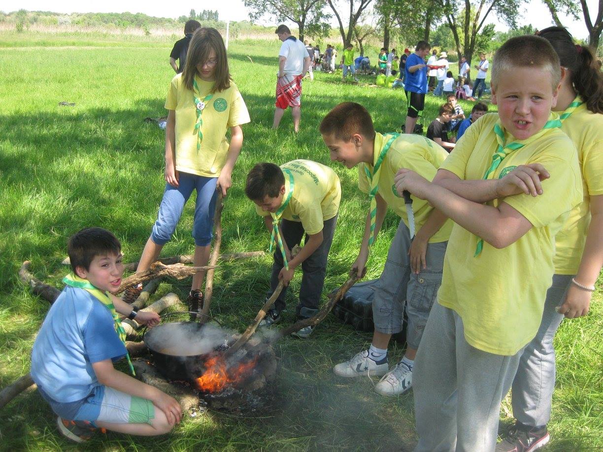 Смотра Савеза извиђач Војводине 2015.