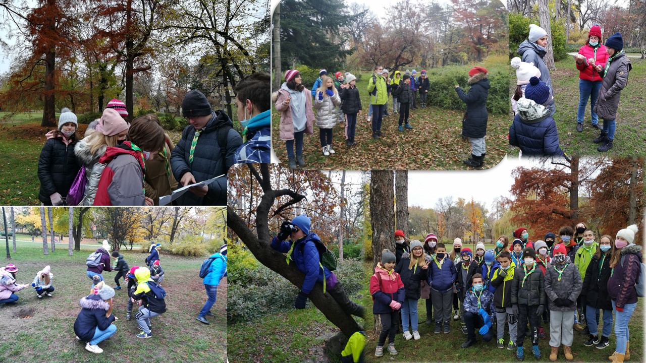 Izlet u Futoški park 29.11.2020.