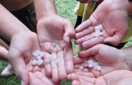 Међународна извиђачка акција, Темерин 22-23.6.2024.
