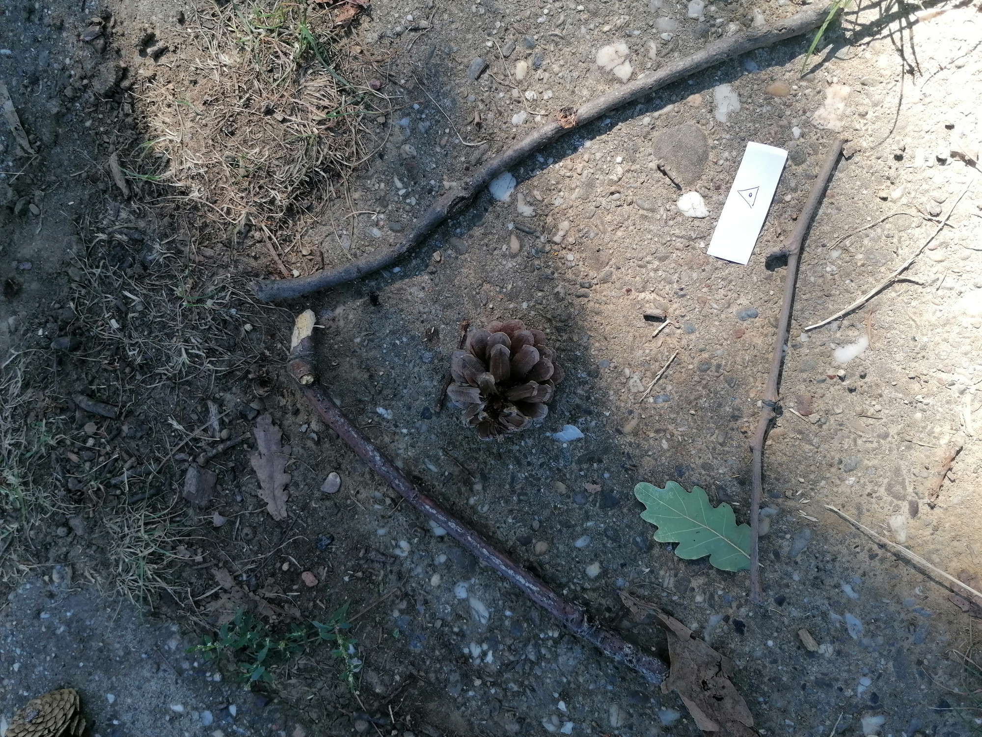 Излет Каменички парк 21.9.